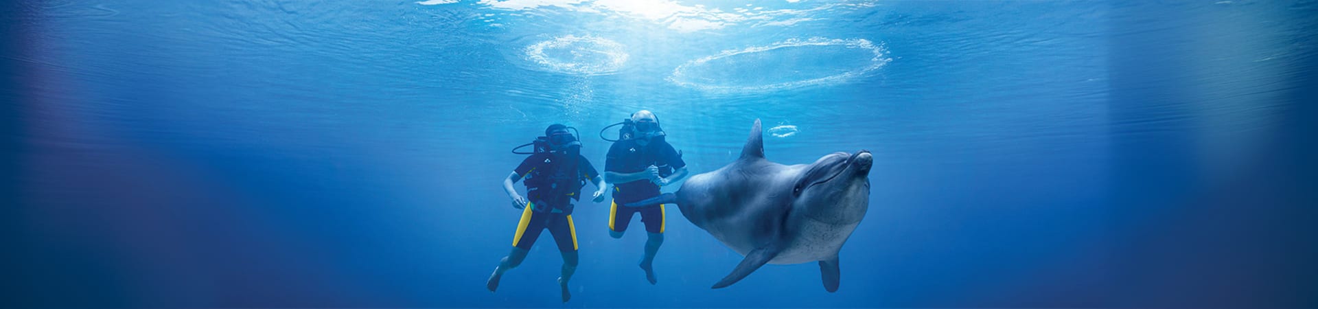 Dolphin Bay Atlantis