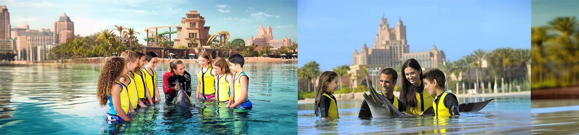 Dolphin Bay Atlantis