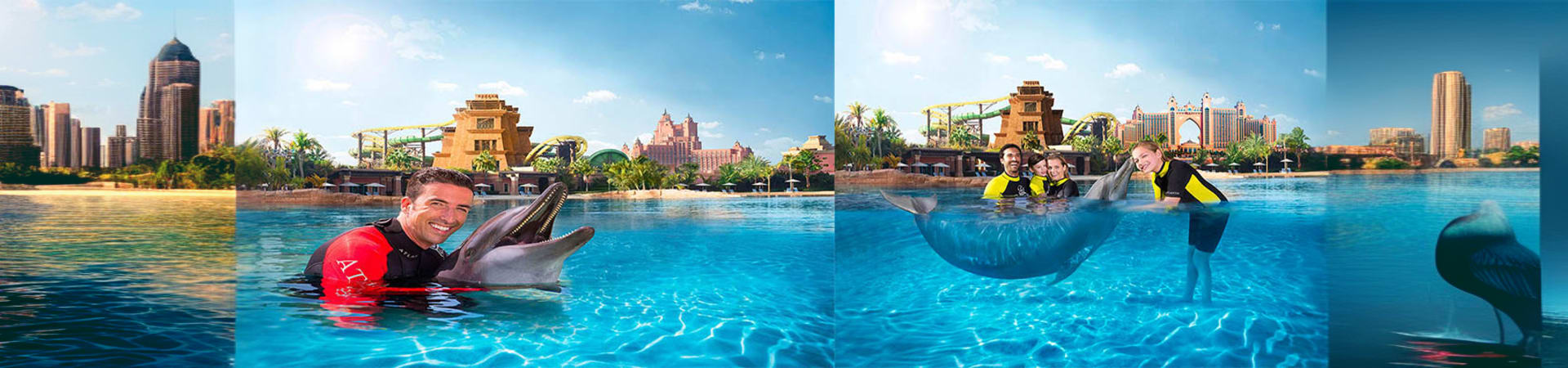 Dolphin Bay Atlantis