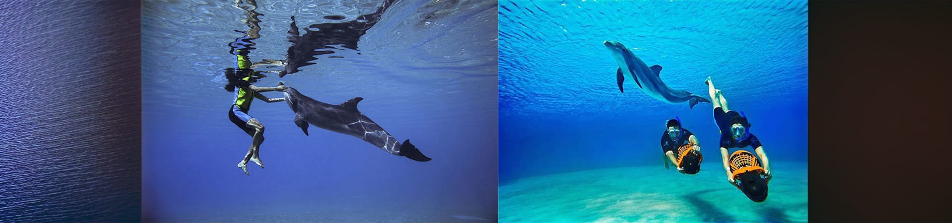 Dolphin Bay Atlantis