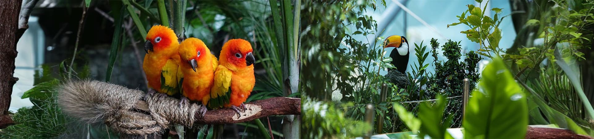 The Green Planet Dubai