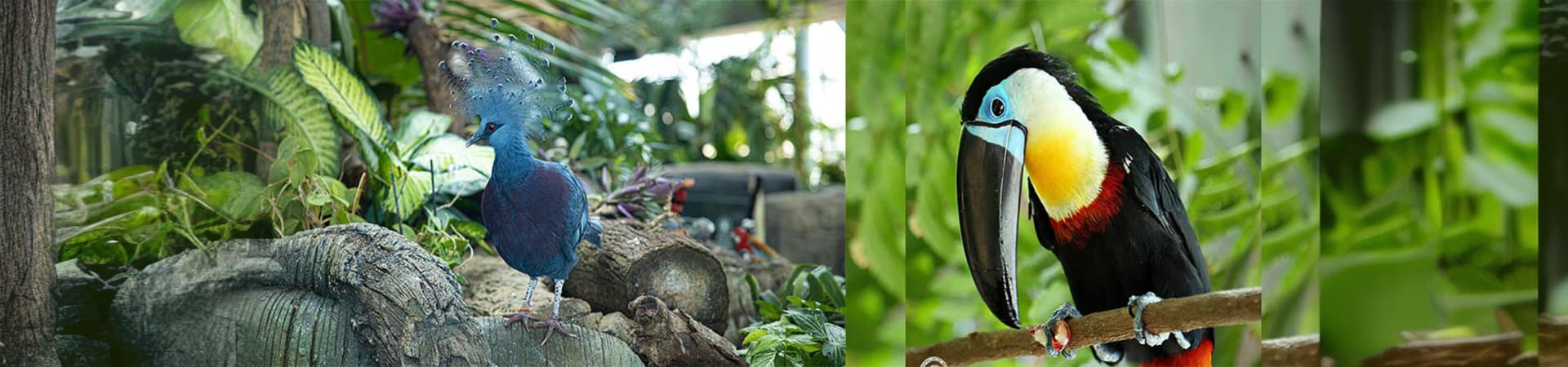 The Green Planet Dubai