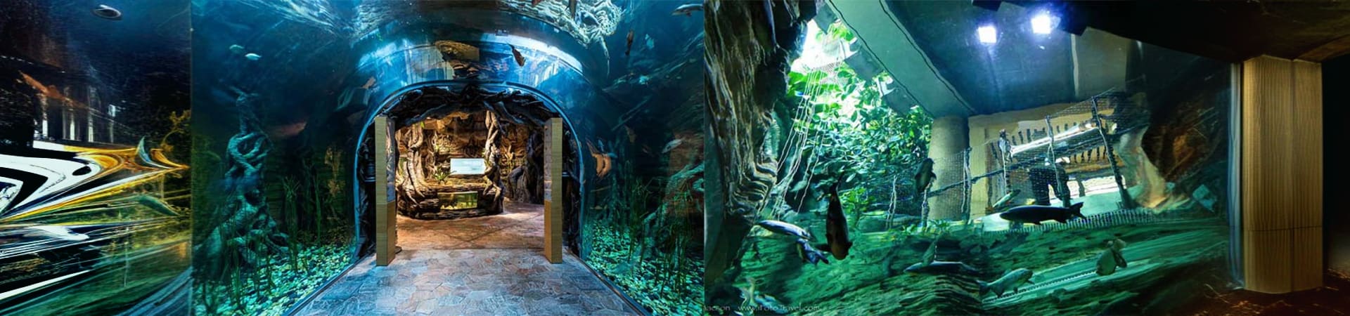 The Green Planet Dubai