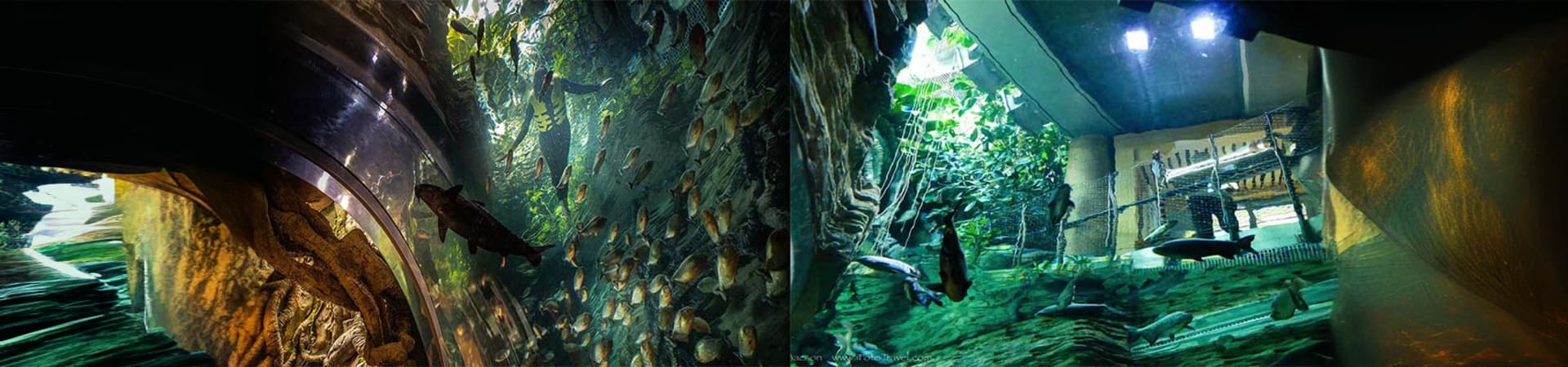 The Green Planet Dubai